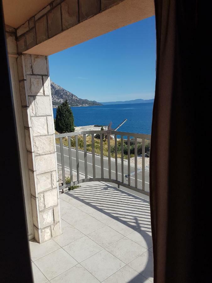 Stankovic * Podaca